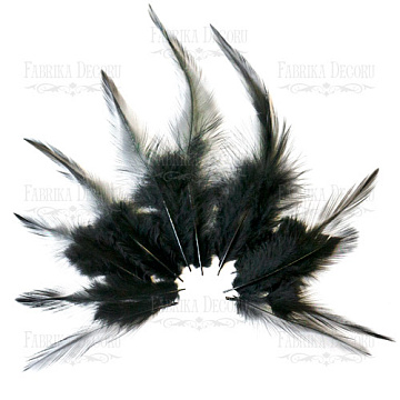 Feathers set with a tail "Black"