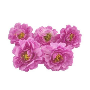 Tree peony fuchsia, 1 pc