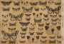 декупажная карта на крафт бумаге 21x29,7см, " butterflies", #0086 фабрика декору декупажная карта на крафт бумаге 21x29,7см, " butterflies", #0086 фабрика декору