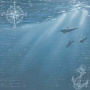 Набор скрапбумаги Memories of the sea 20x20 см, 10 листов