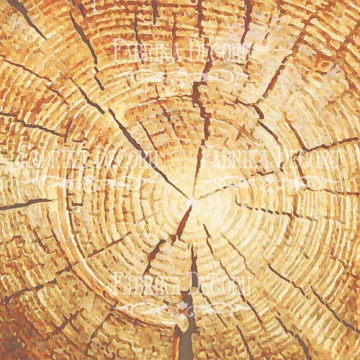 набор бумаги для скрапбукинга colors of autumn 20x20 см, 10 листов - 2