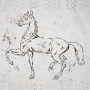 Stencil for decoration XL size (30*30cm), Horse #044 - 2