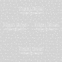 Sheet of double-sided paper for scrapbooking Wedding of our dream #28-02 12"x12" - 0