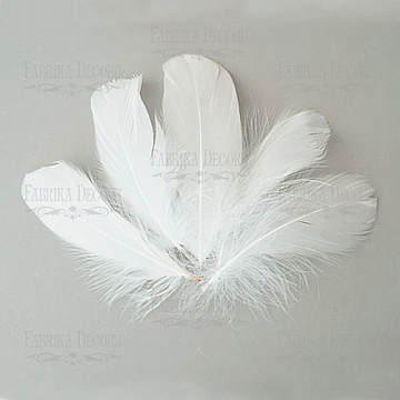 Feather set  "White"