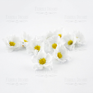 Kwiaty dzikiej róży Białe, 1szt 