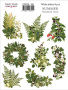 Set of stickers 8 pcs Summer botanical story #351