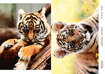 Decoupage card Tigers, watercolor #0455 21x30cm