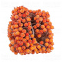 Set of sugar guelder rose berries Orange 20pcs