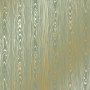 Лист односторонней бумаги с фольгированием, дизайн Golden Wood Texture Olive, 30,5см х 30,5см