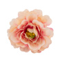 Цветок пиона персиковый с розовым, 1шт