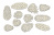  Набор чипбордов Шишки 10х15 см #766 color_Milk