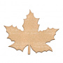 Kunstkarton Maple Leaf 25х20 cm