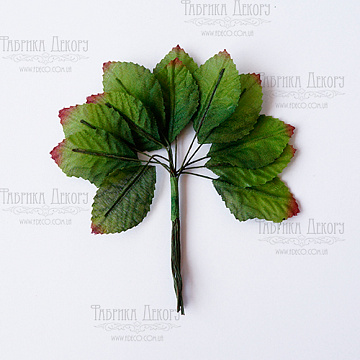 Set of small leaves, 12pcs