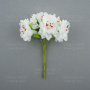 Set of flowers of the apple tree white with burgundy stamens, 6 pcs
