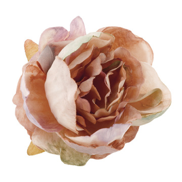 Herbaceous peony vintage beige, 1 pc - 2