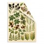Doppelseitiges Papierset mit Bildern zum Schneiden Botanik Sommer 15x20cm