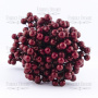 Set lacquer guelder rose berries mini Bordeaux 20pcs