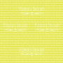 Double-sided scrapbooking paper set Dino baby 12"x12" 10 sheets - 7