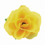 Englische Rosenblüte Sunny, 1St