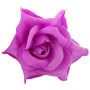 Miniature rose flower, Lilac, 1pc - 0