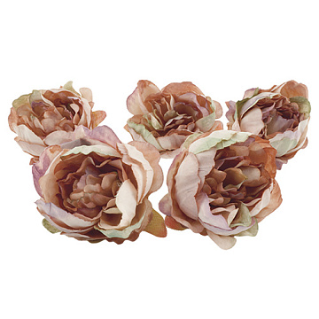 Herbaceous peony vintage beige, 1 pc