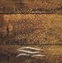 Stencil for crafts 15x20cm "Winter background 2" #245 - 0