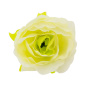 Eustoma flowers, Lime 1pc - 0