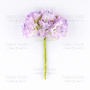 Set of cherry flowers lilac with white, 6 pcs