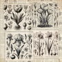 Double-sided scrapbooking paper set Spring botanical story, 8"x8", 10 sheets - 3
