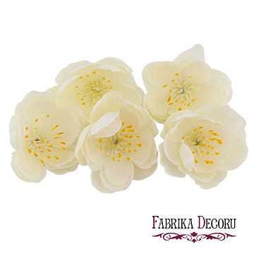 Pflaumenblüte, milchig weiß, 1 St