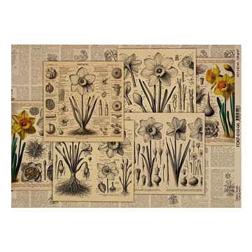 Arkusz kraft papieru z wzorem "Botany spring", #6, 42x29,7 cm