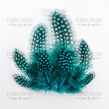 Feathers set  Guinea fowls "Turquoise"