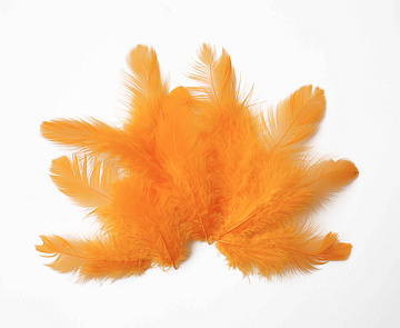 Feathers set mini "Orange"