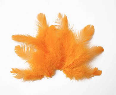 набор перьев мини "оранжевые"