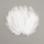 Feathers set mini "Whites"