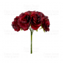 Eustoma Blume, Farbe Bordeaux, 6St