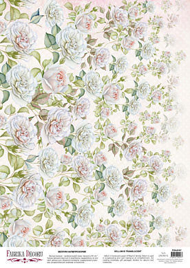 deco vellum colored sheet peony field, a3 (11,7" х 16,5")