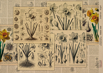 Kraft Decoupage Papier 29,7x21cm, “Botanica Kraft”, #0049