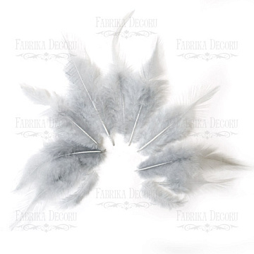 Feathers set with a tail "Gray"