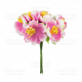 Jasminblüten Magenta mit Weiß 6 Stk