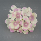 флоксы нежный шебби флоксы нежный шебби