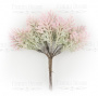 Set Grünzweige Cineraria grün mit rosa, 10St