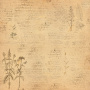 Лист двусторонней бумаги для скрапбукинга Botany summer #17-03 30,5х30,5 см