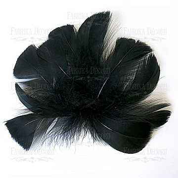 Feather set  "Black"