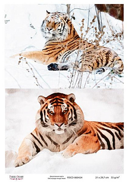 Decoupage card Tigers, watercolor #0424, 21x30cm