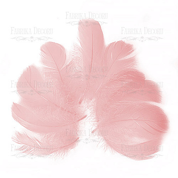 Feathers set maxi "Ash pink"