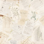 Doppelseitiges Scrapbooking-Papier-Set "Botany Autumn Redesign", 20 cm x 20 cm, 10 Blätter