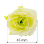 Eustoma flowers, Lime 1pc - 1