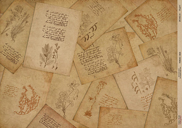 Kraftowy papier do decoupage, 42x29,7 cm, „Botanica Kraft”, #0026