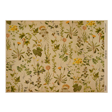 Kraft paper sheet Botanical backgrounds #05, 16,5’’x11,5’’ 